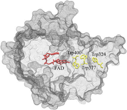 FIGURE 1