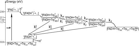 FIGURE 2