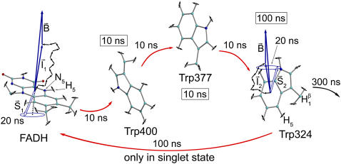 FIGURE 4