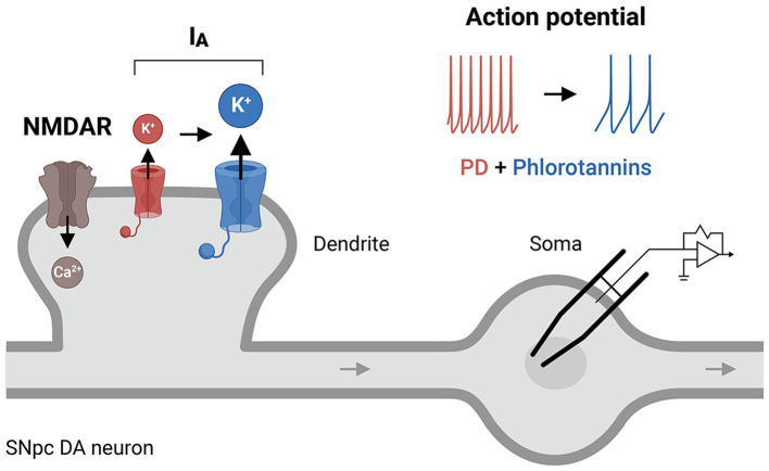 Figure 5