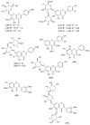 Figure 13