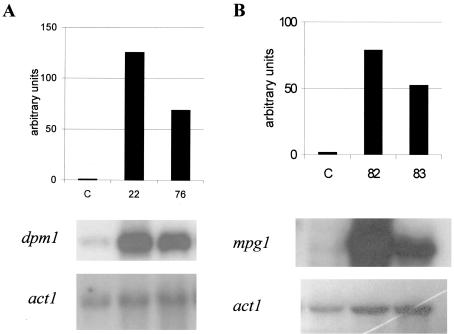 FIG. 1.