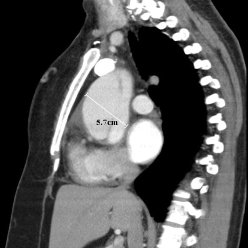 Figure 2)