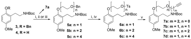 Scheme 2