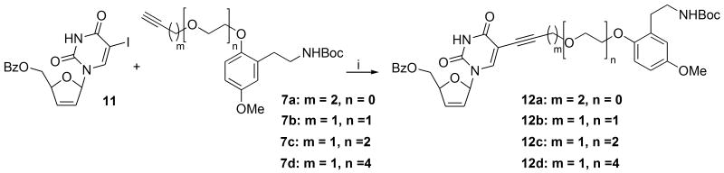 Scheme 4