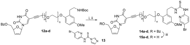 Scheme 5