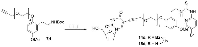 Scheme 6