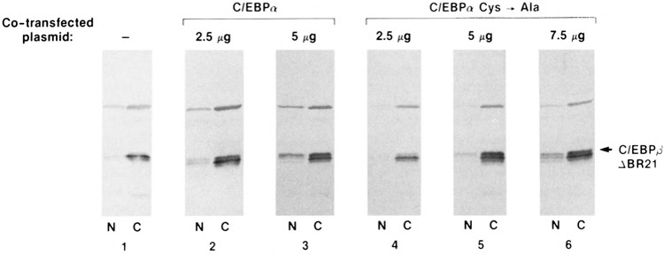 FIG. 8