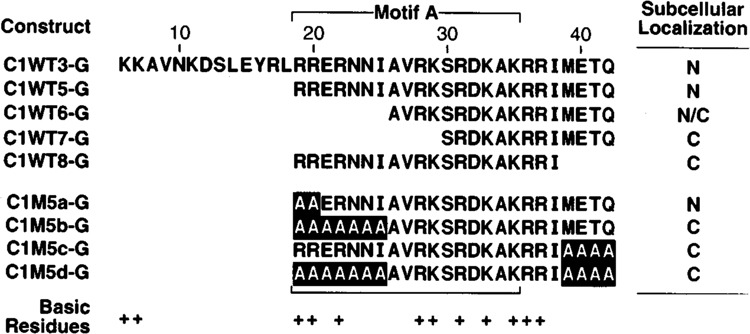 FIG. 5