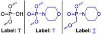 graphic file with name molecules-24-01872-i002.jpg