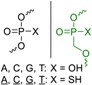 graphic file with name molecules-24-01872-i006.jpg