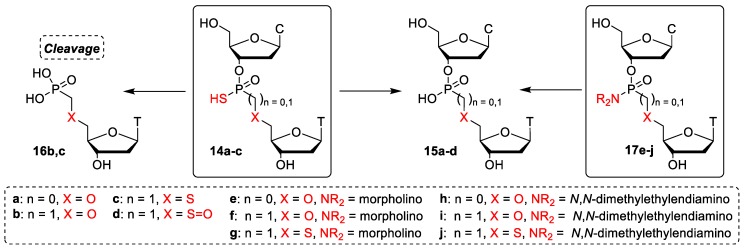 Scheme 2