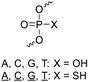 graphic file with name molecules-24-01872-i004.jpg