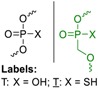 graphic file with name molecules-24-01872-i003.jpg