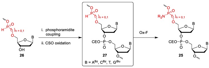 Scheme 5