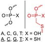 graphic file with name molecules-24-01872-i005.jpg