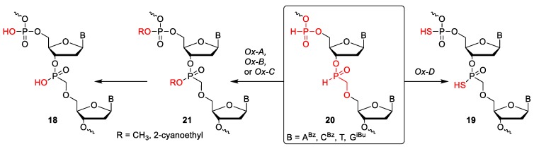 Scheme 3