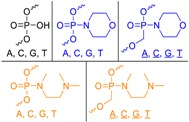 graphic file with name molecules-24-01872-i007.jpg