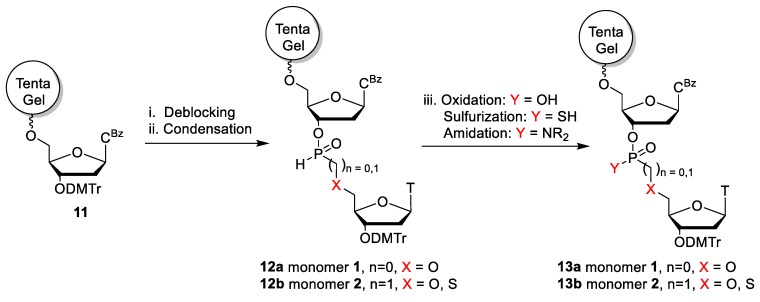 Scheme 1