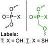 graphic file with name molecules-24-01872-i001.jpg