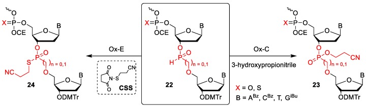 Scheme 4