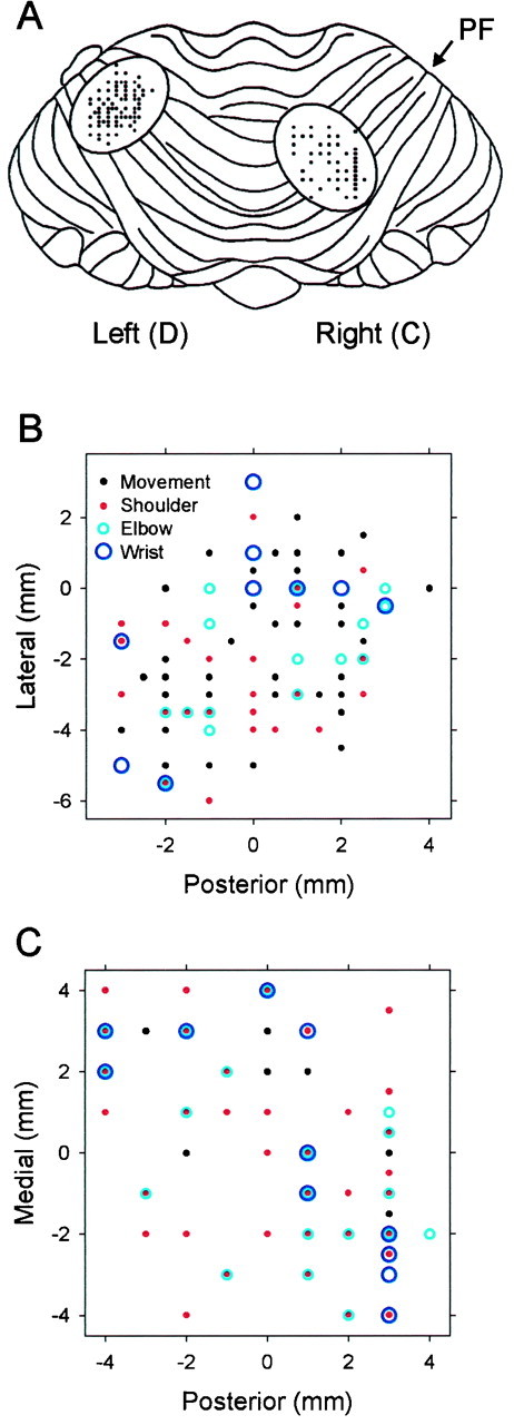 Fig. 11.