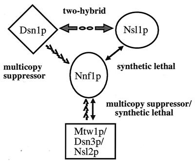 FIG. 7.