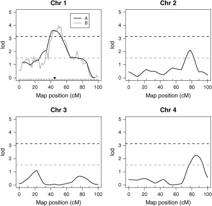 Figure 1.—