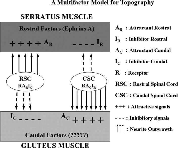 Figure 10.