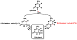 Figure 25