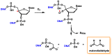 Figure 40