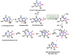 Figure 20