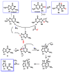 Figure 31