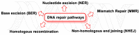 Figure 49