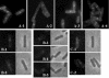 FIG. 4.