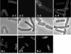 FIG. 3.