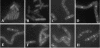 FIG. 5.