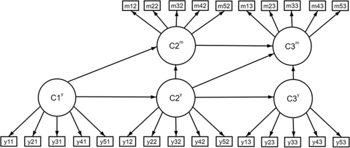 Fig. 1