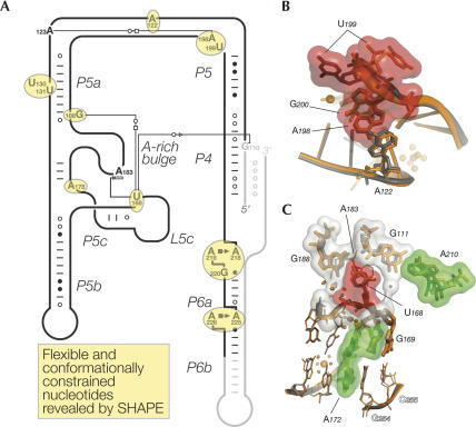 FIGURE 4.