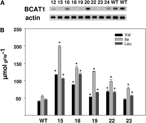 Figure 5.