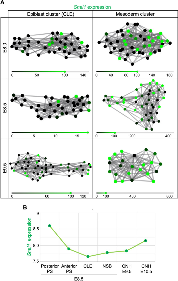 Figure 2—figure supplement 1.