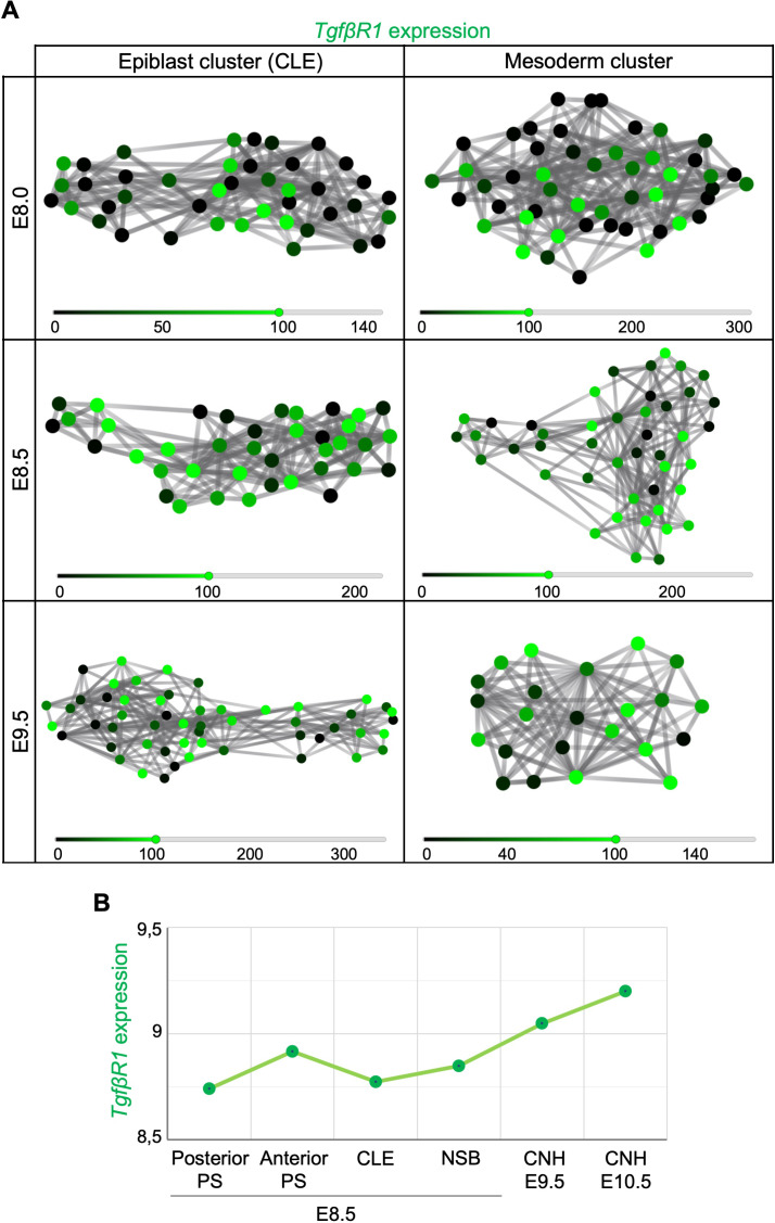 Figure 2—figure supplement 2.