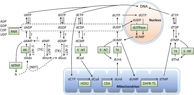 Figure 6.