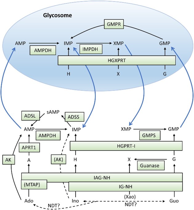 Figure 2.