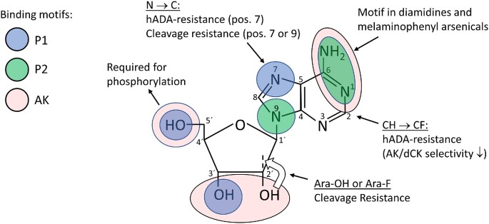 Figure 4.