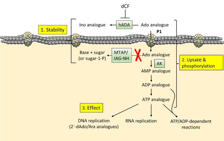 Figure 3.