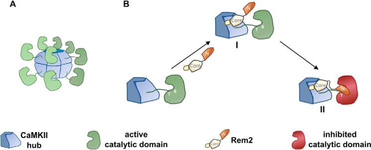 Figure 9.