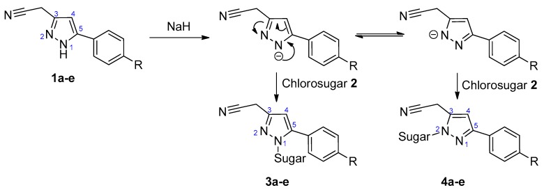 Scheme 2