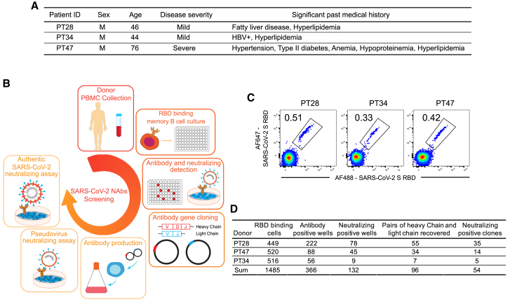 Figure 2