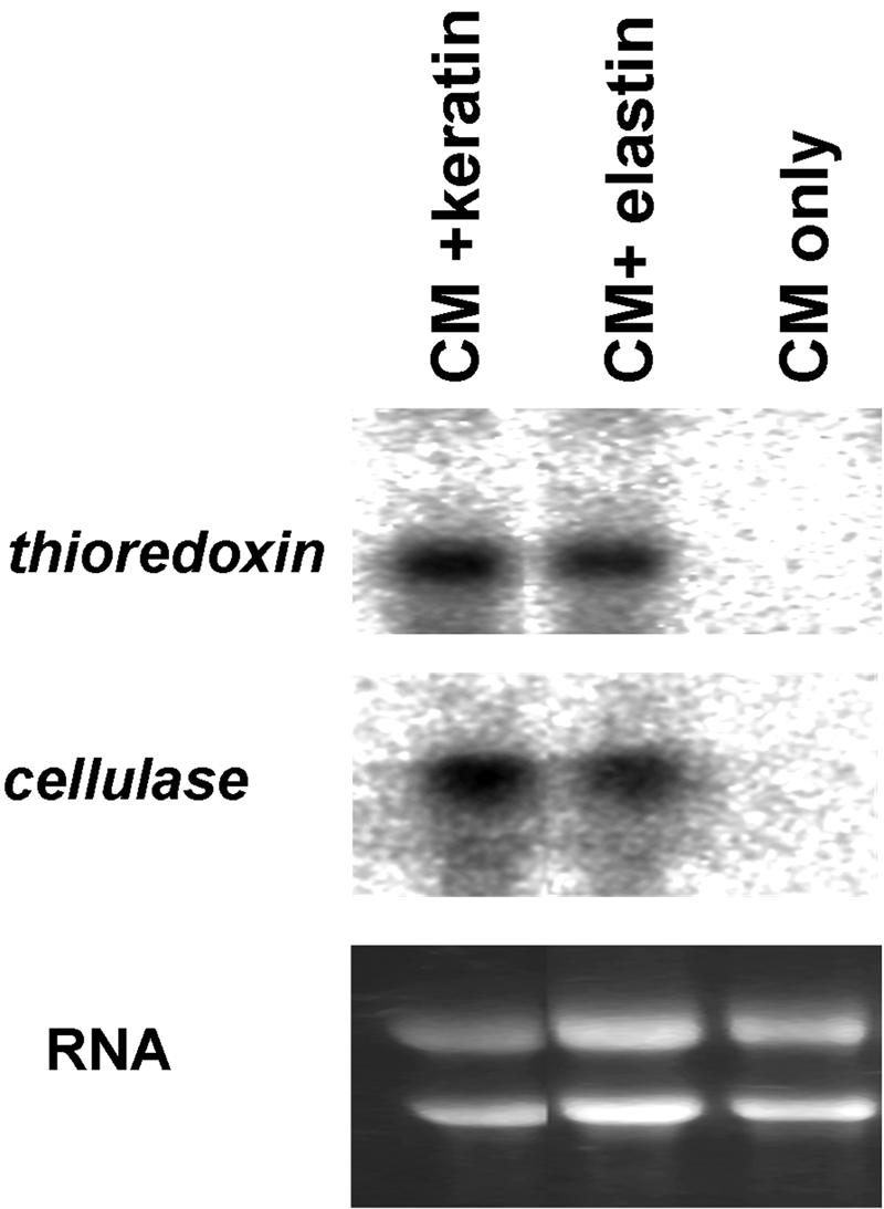 FIG. 5.